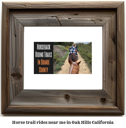 horse trail rides near me in Oak Hills, California